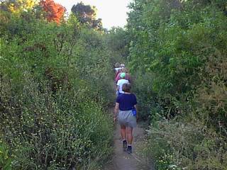 Trail