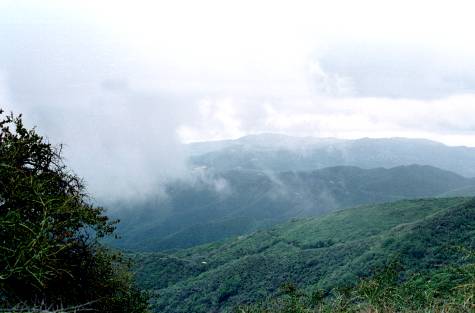 Looking south