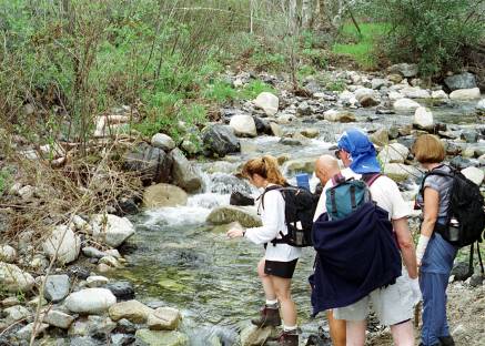 Trabuco Canyon Stream Crossing