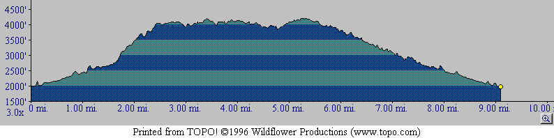 Elevation Profile