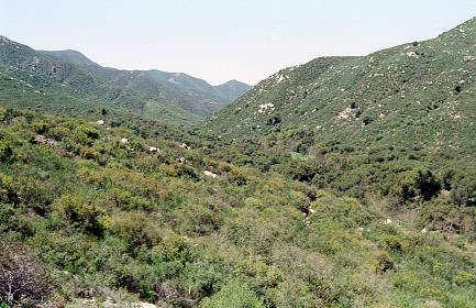 Hills