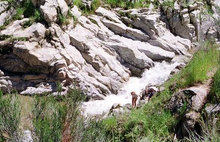 Rapids