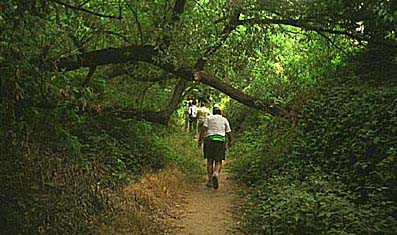 path