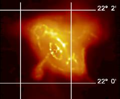 Crab pulsar